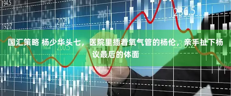 国汇策略 杨少华头七，医院里插着氧气管的杨伦，亲手扯下杨议最后的体面