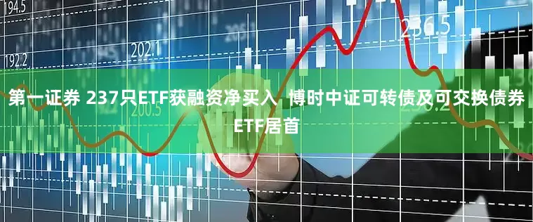 第一证券 237只ETF获融资净买入  博时中证可转债及可交换债券ETF居首